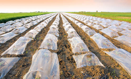 Agricultural Plastics Market Size Growth Volume Insights 2022
