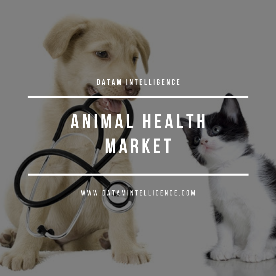 Pet Food Market Size Demand Analysis 2022-2029