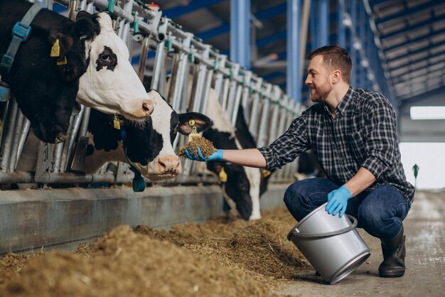 Animal Feed Market: Global Scope and Insights | DataM Intelligence