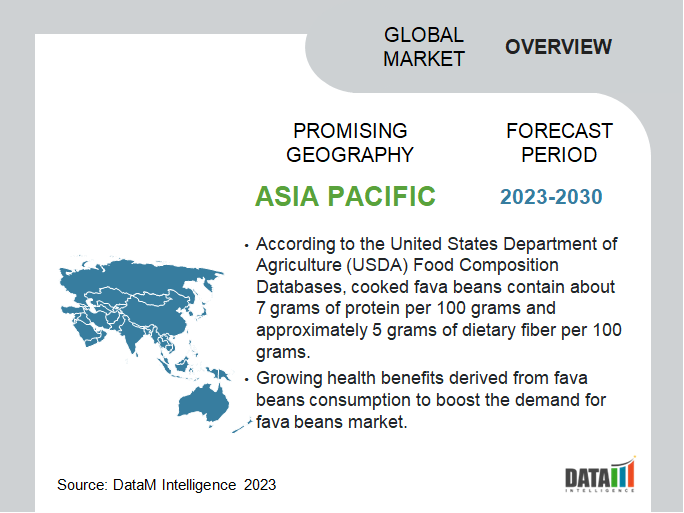 Fava Beans Market Overview