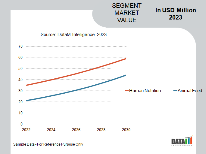 Fava Beans Market Segmen Analysis