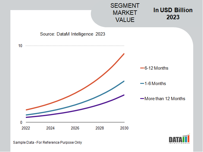 Vehicle Subscription Market Segment Analysis