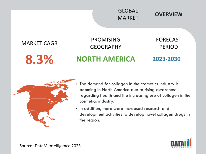 Collagen Market Overview
