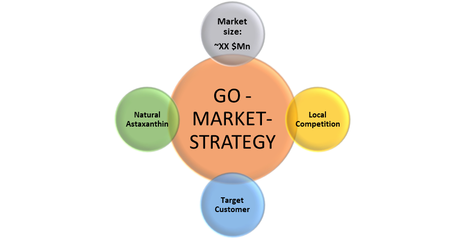 Go-To-Market Strategy