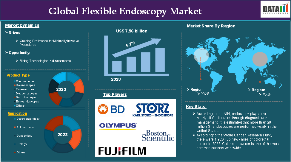 Flexible Endoscopy Market 2024