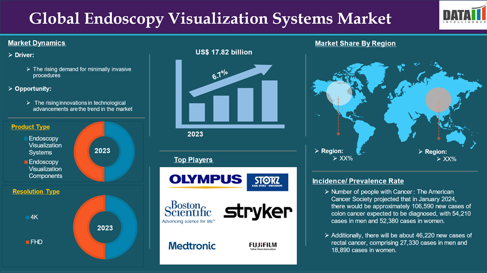 Endoscopy Visualization Systems Market 2024