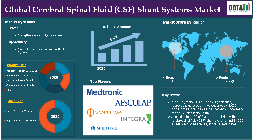 Cerebral Spinal Fluid (CSF) Shunt Systems Market 2024