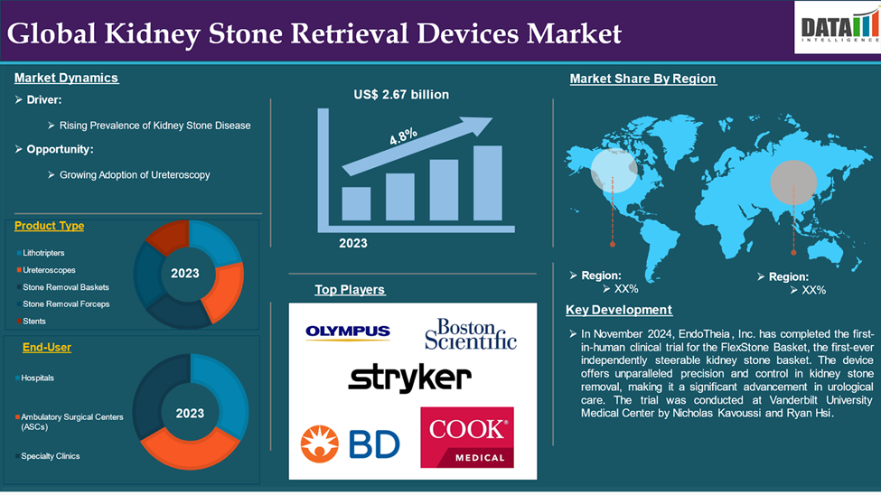Kidney Stone Retrieval Devices Market 2025