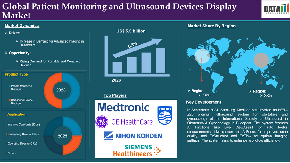 Patient Monitoring and Ultrasound Devices Display Market 2025