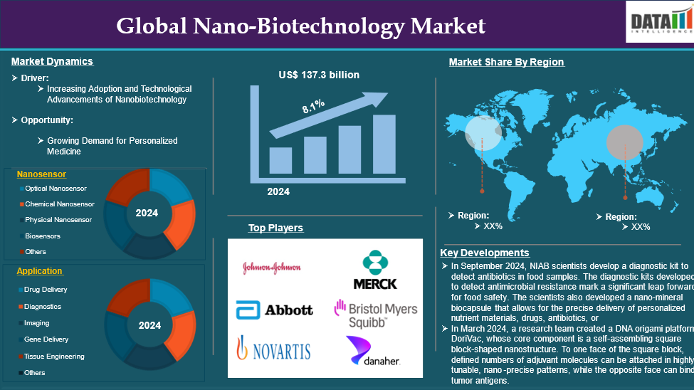 Nano-Biotechnology Market 2025
