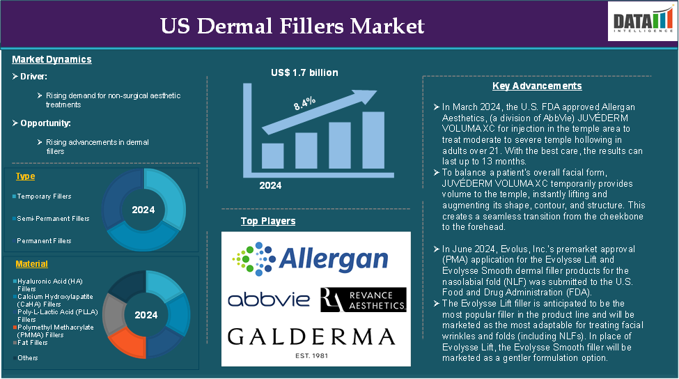 US Dermal Fillers Market 2025