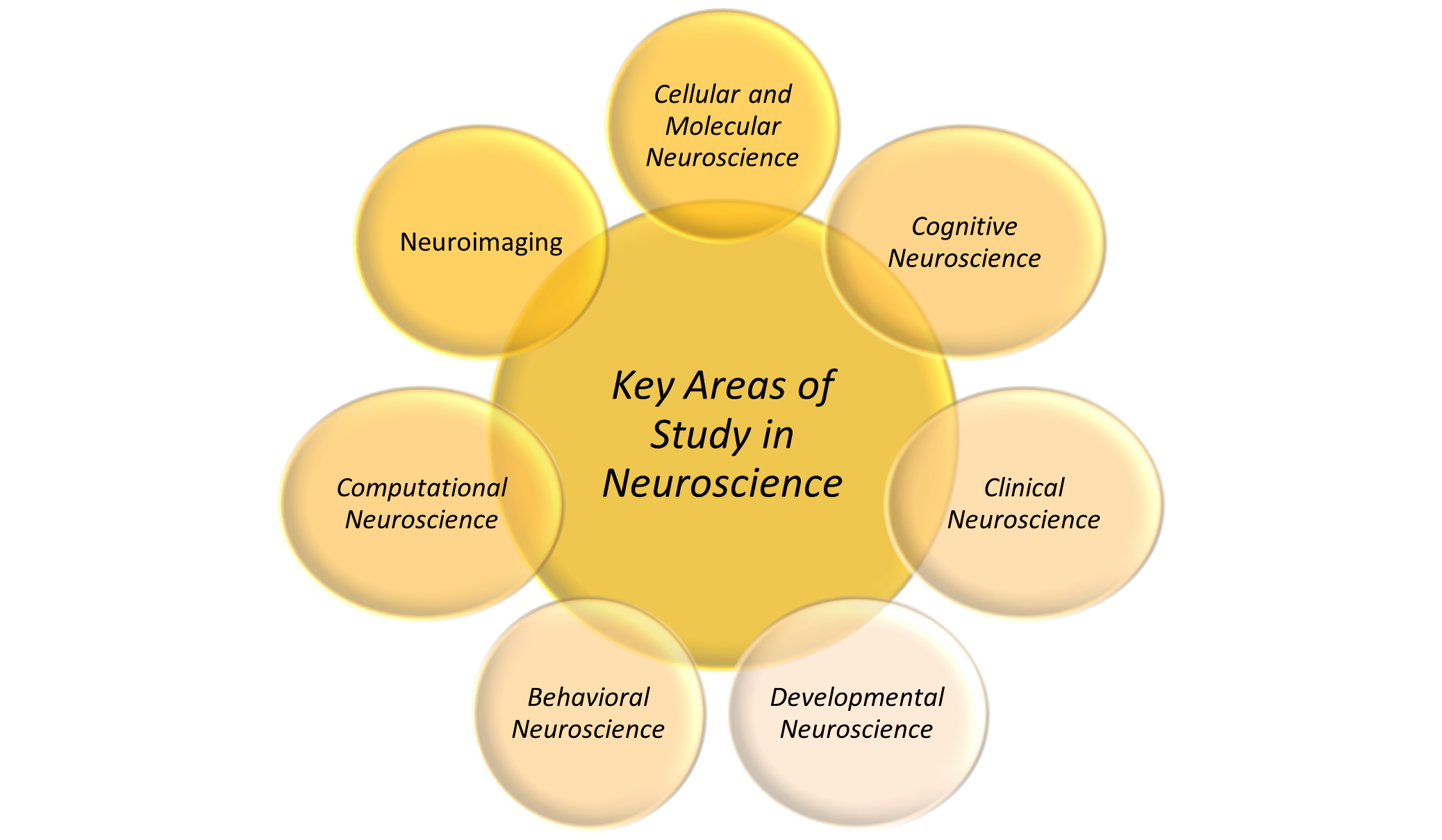 Neuroscience Market Study
