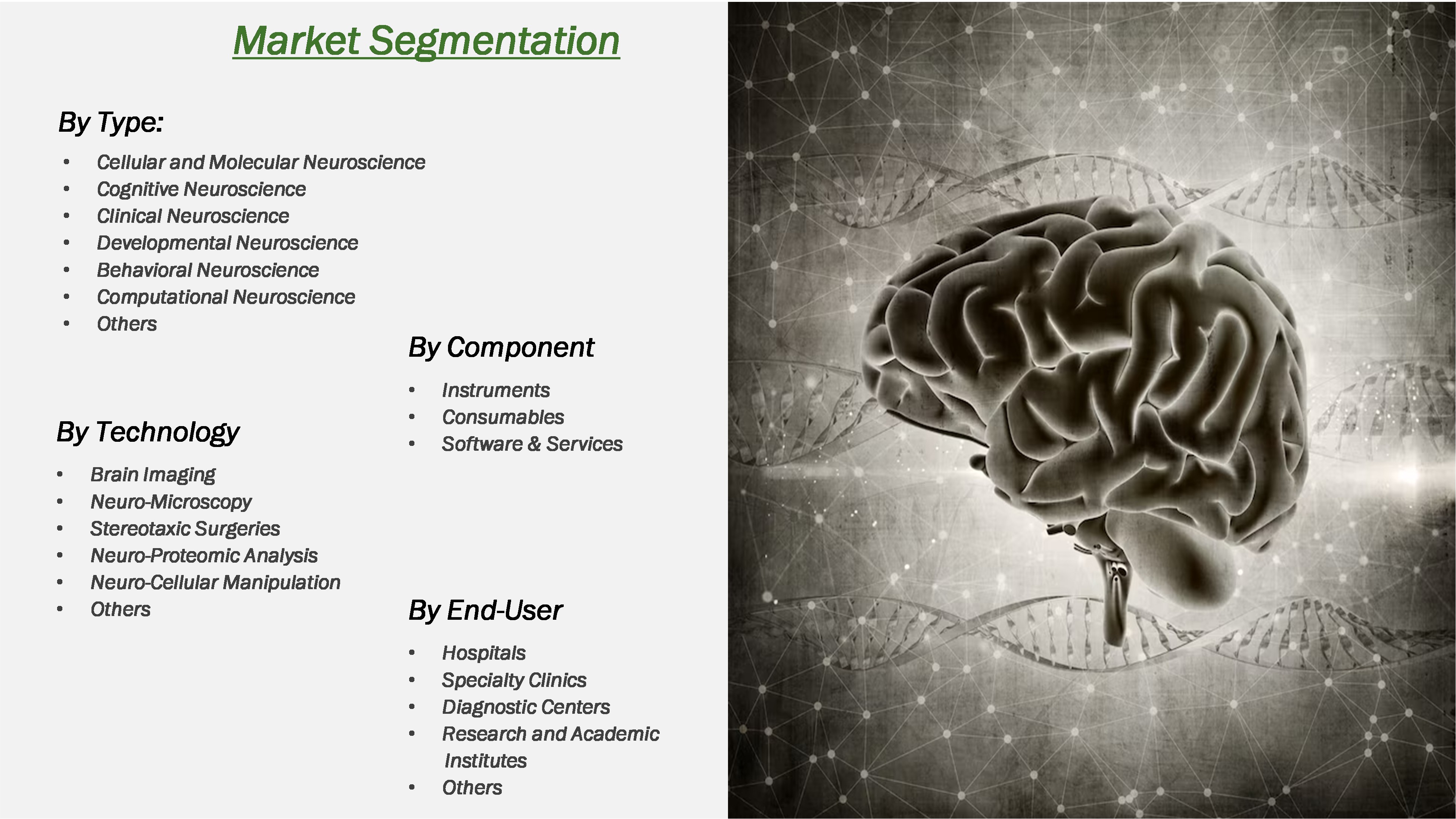 Neuroscience Market Segmentation
