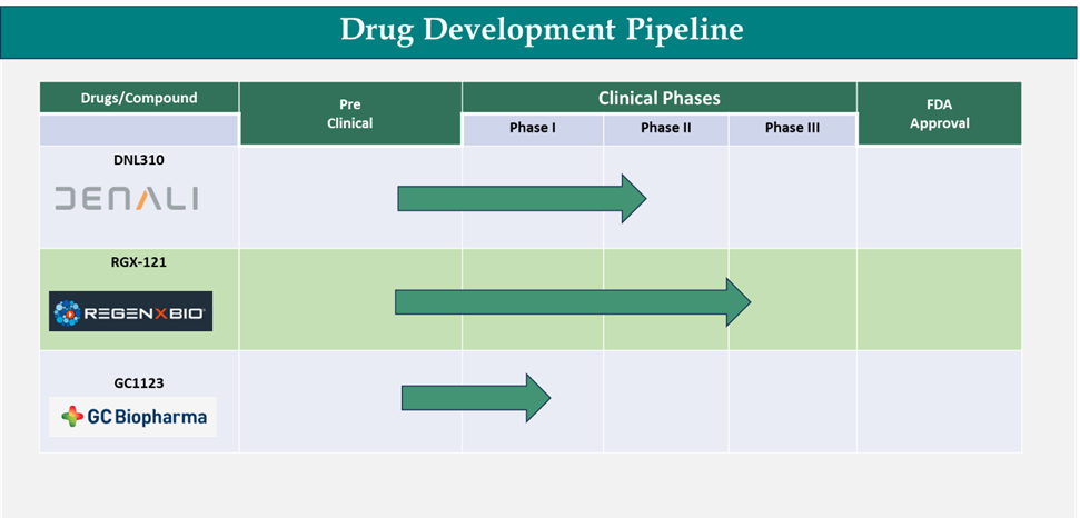 Hunter Syndrome Treatment pipeline analysis