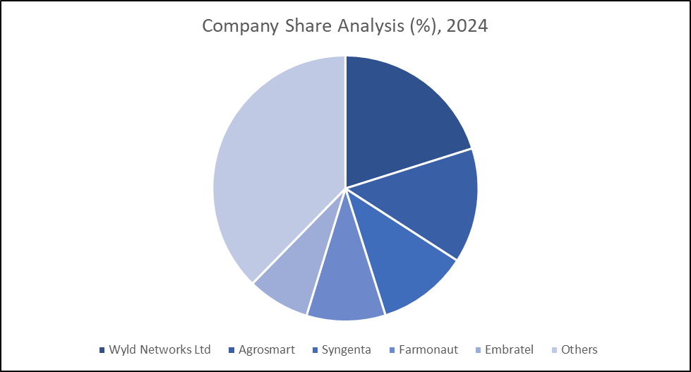 Companies Share Analysis 2024