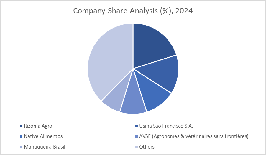 Companies Share Analysis