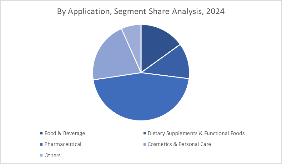 By Application, Segment Share Analysis 2024