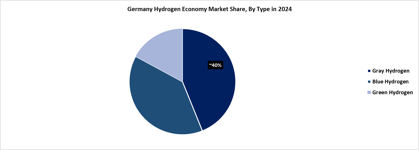 Germany Hydrogen Economy Market Share, By Type 2024