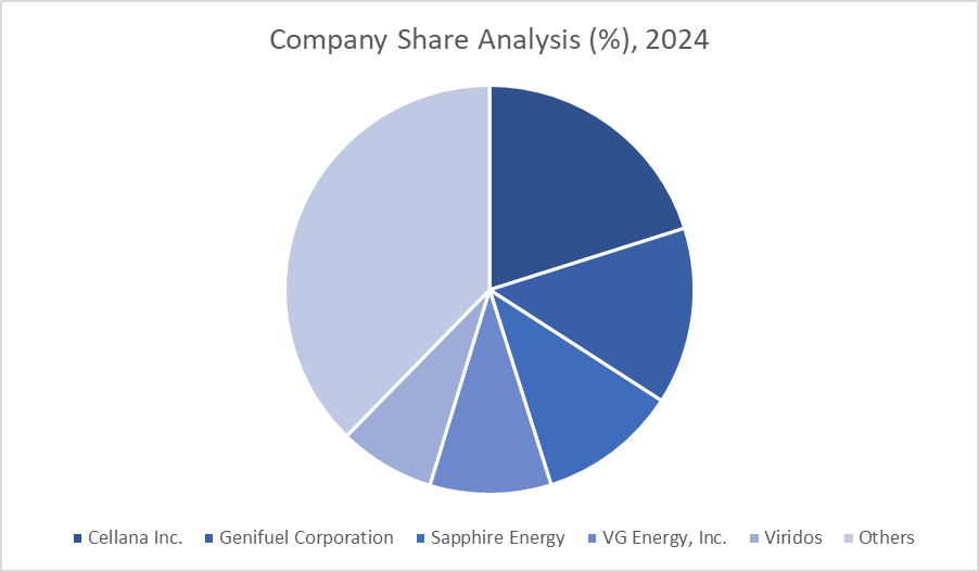 Companies Share Analysis 2024