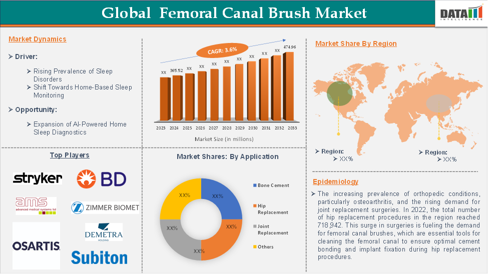 Global Femoral Canal Brush Market, 2025