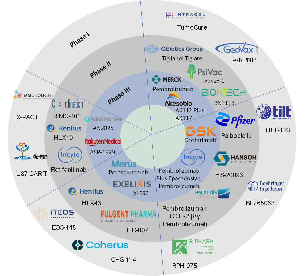 Pipeline Analysis 2025