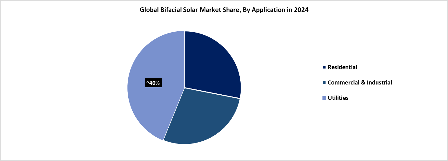 Bifacial Solar Market Share, By Application 2024