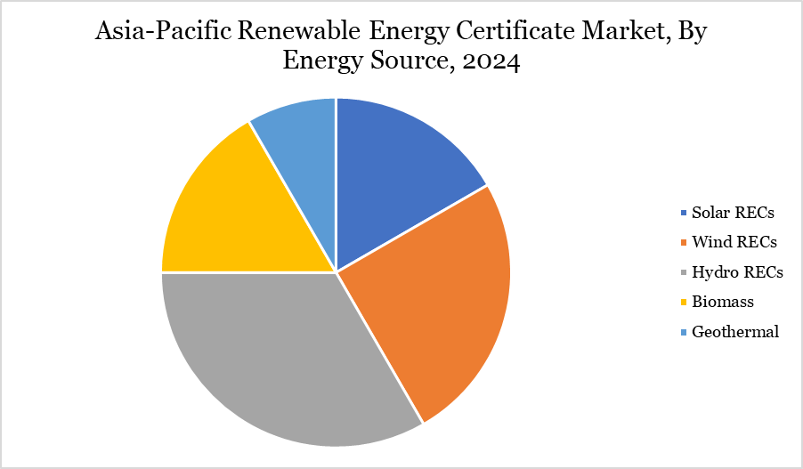 By energy source 2024