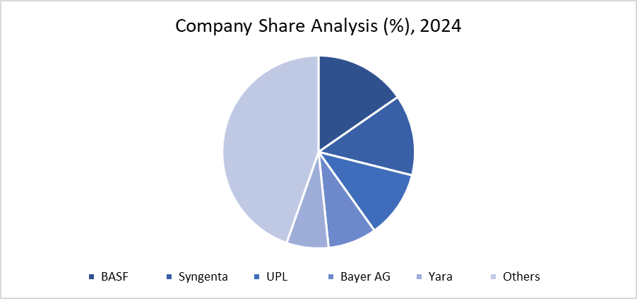 Company Share Analysis 2024