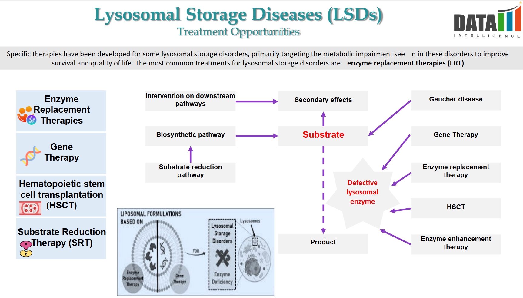 Lysosomal Storage Diseases (LSDs) - Treatment Opportunities