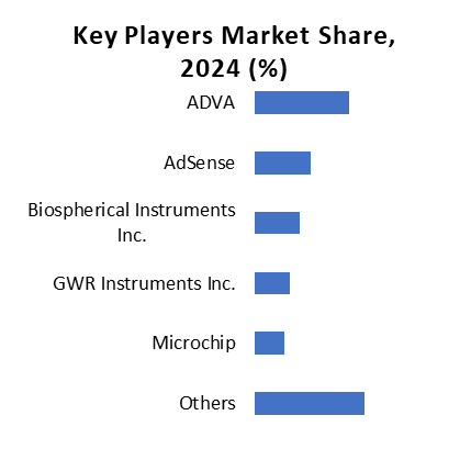 Key Players Market Share, 2024