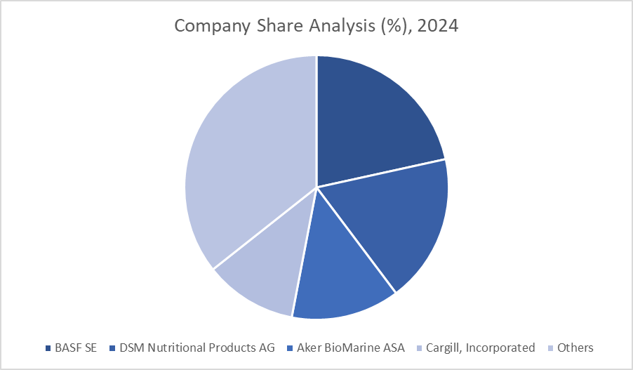 Company Share Analysis, 2024