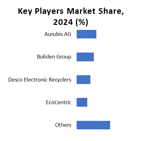Key Players Market Share, 2024