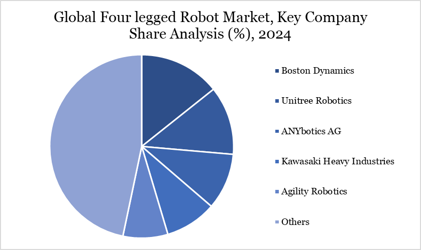 Key Company Share Analysis, 2024