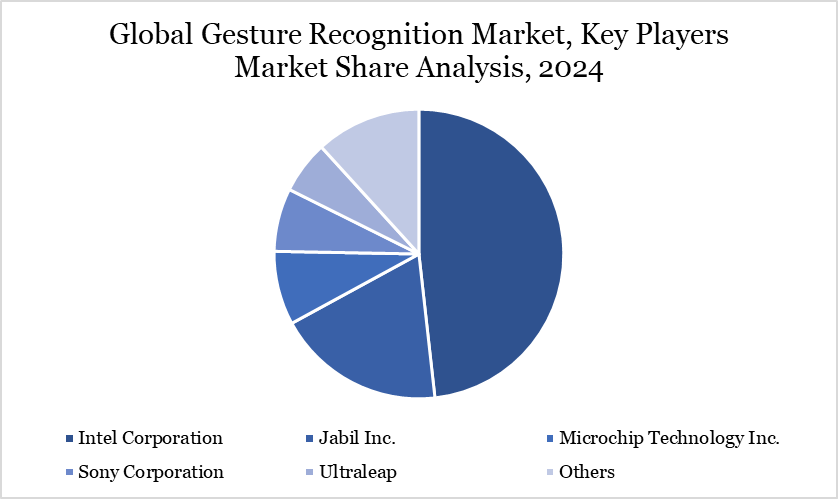 Key players market share analysis, 2024