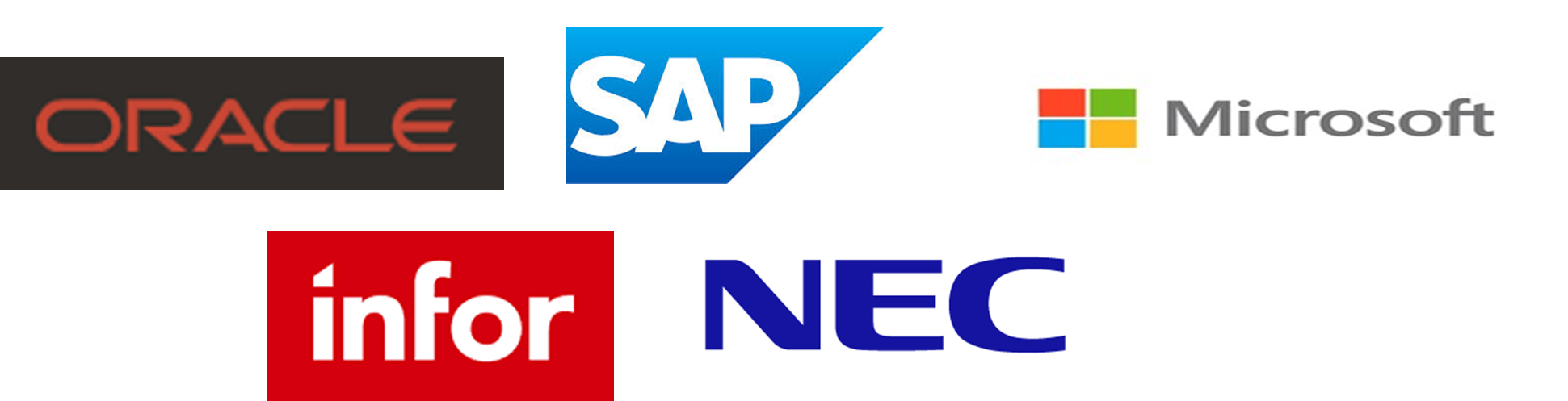 Top 5 Global Companies in Cloud ERP