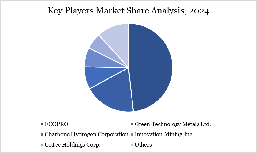 Key Players Market Share Analysis, 2024