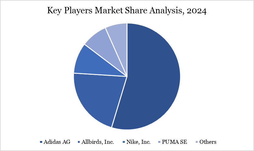 Key Players Market Share Analysis, 2024