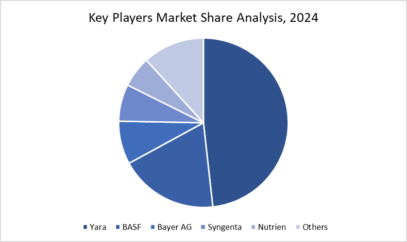 Key Players Market Share Analysis, 2024