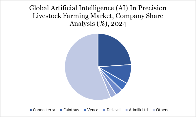 Company Share Analysis, 2024