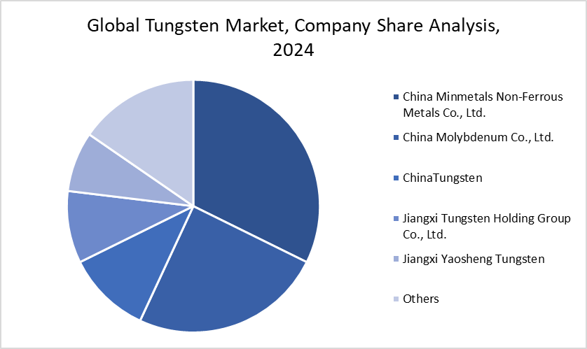 Company Share Analysis, 2024
