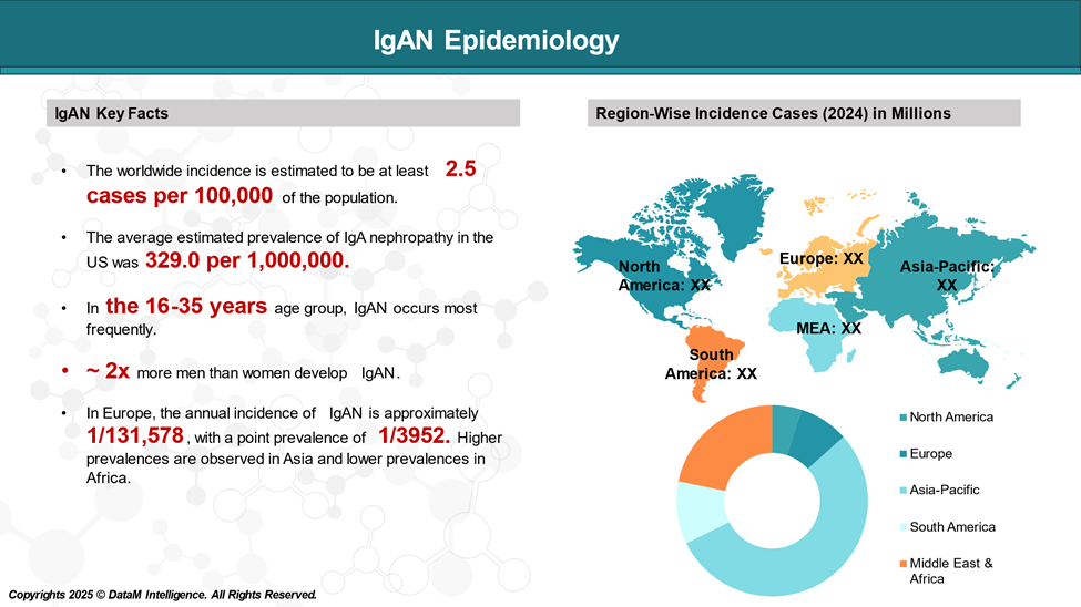 IgAN Epidemiology