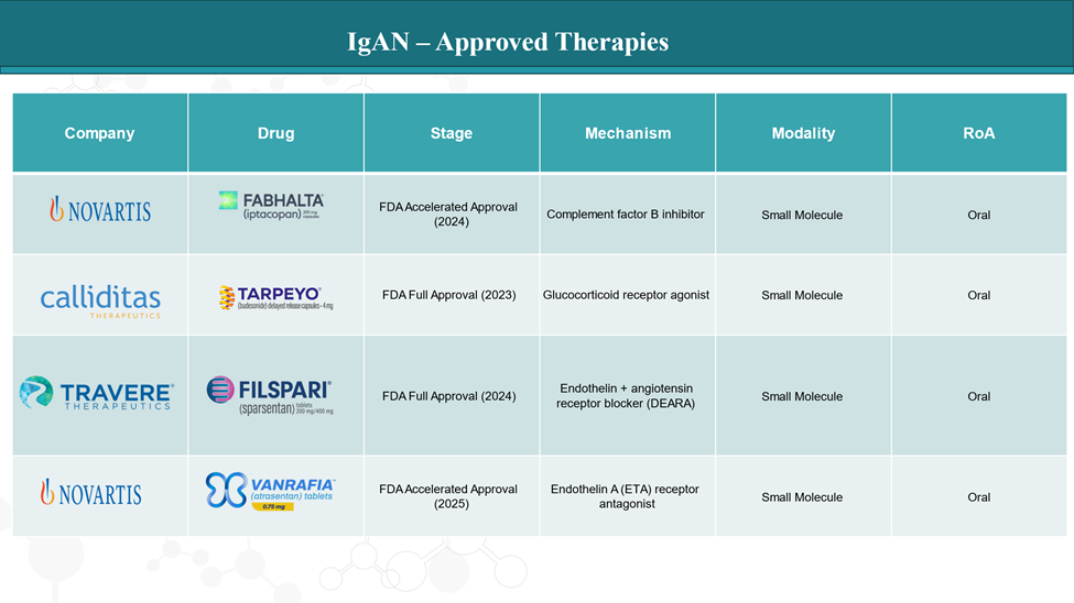 IgAN - Approved Therapies