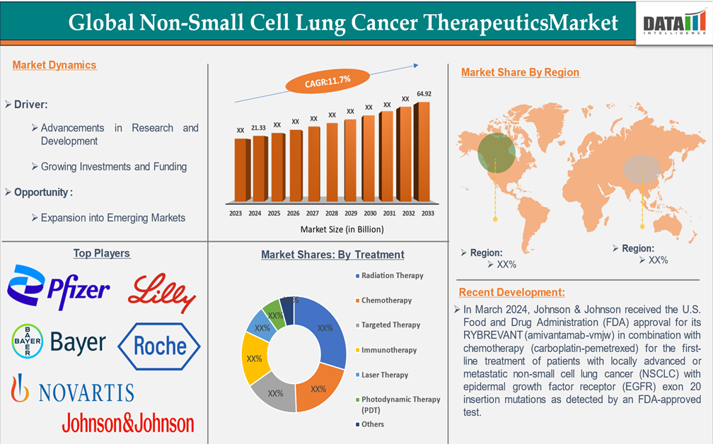 Non-Small Cell Lung Cancer Therapeutics Market 2025