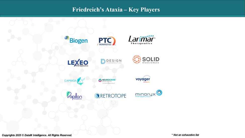 Friedreich’s Ataxia - Key Players