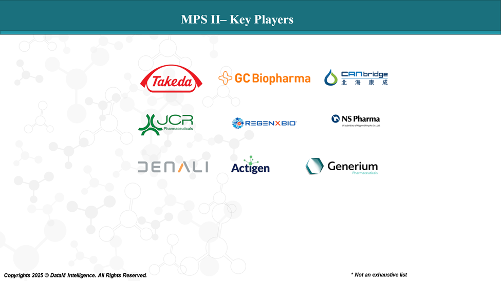 MPS II - Key Players