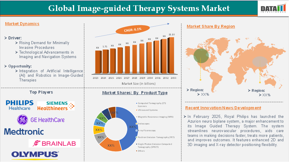 Image guided Therapy Systems Market 2025
