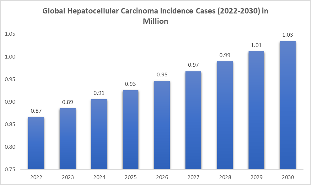 Hepatocellular Carcinoma Treatment Market - Epidemiology Analysis