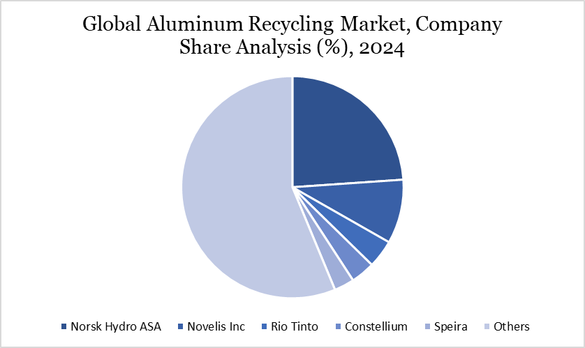 Aluminum Recycling Market Company Share Analysis