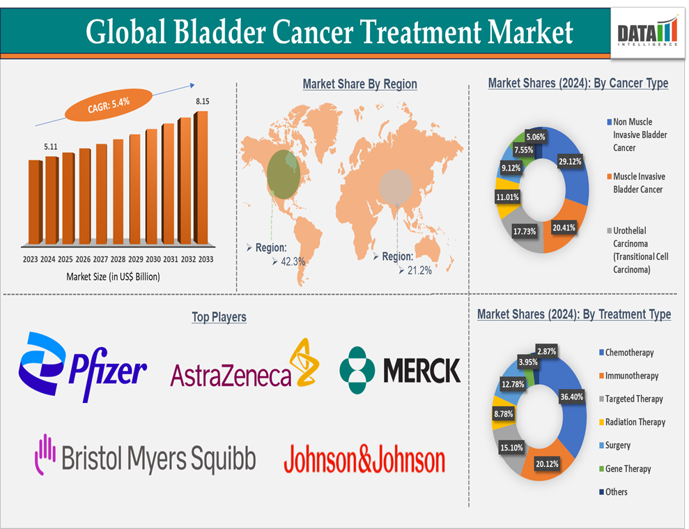 Bladder Cancer Treatment Market Executive Summary