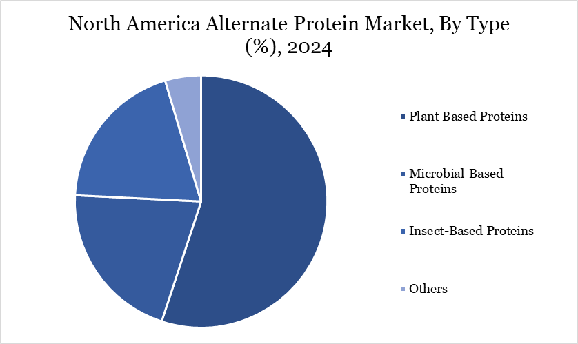 North America Alternative Protein Market, by type